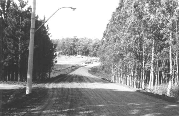 Avenida do Bosque